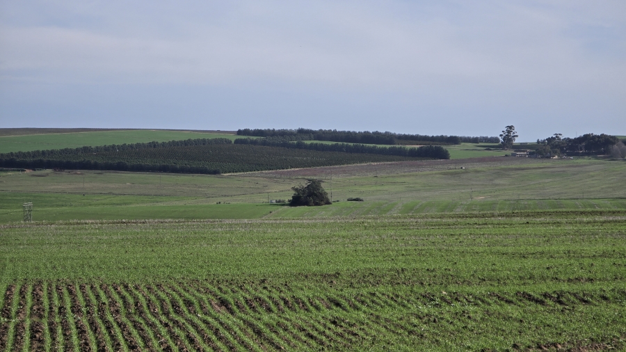 Commercial Property for Sale in Paarl Rural Western Cape